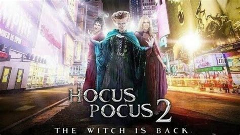 Hocus Pocus Part 2 Release Date, Plot & Everything We Know Yet - The ...