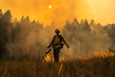 Fire on the Mountain: Balancing the Risks and Rewards of Wildfire ...