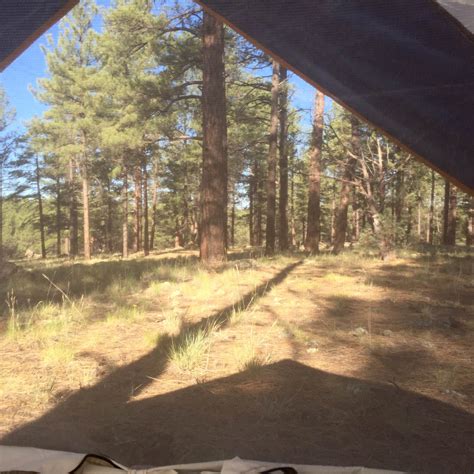 Kaibab Lake Sites And Group Areas Camping | The Dyrt