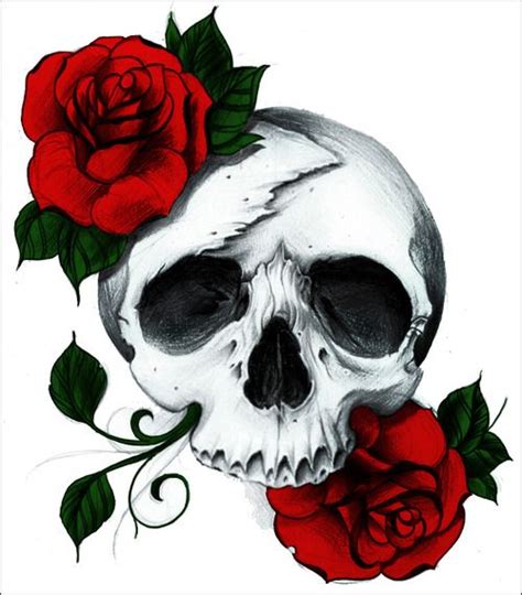 Skull Rose Drawing at GetDrawings | Free download