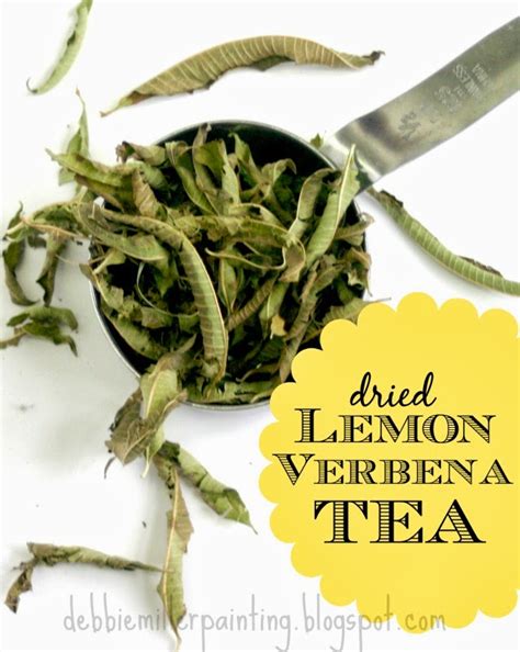 Make your own dried lemon verbena tea