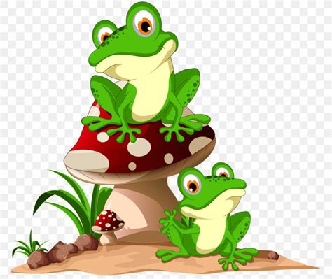 Frog Cartoon Stock Photography Clip Art, PNG, 1280x1079px, Frog ...