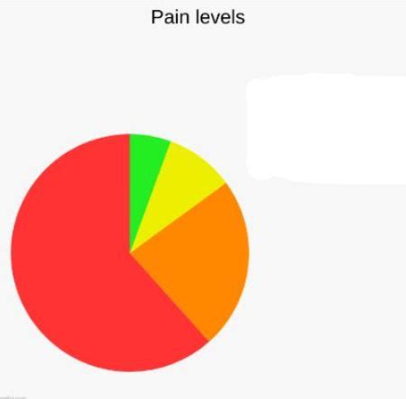 Levels of Pain Memes - Imgflip