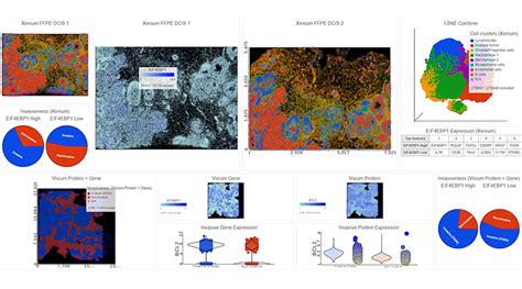 Best Practices and Analysis Workflows for 10x Genomics Xenium In Situ ...