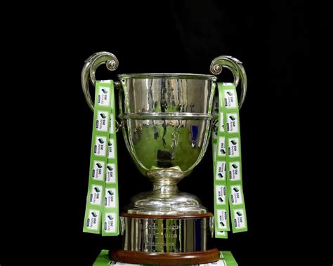 Focus on Limerick as expressions of interest sought for 2021 League of ...