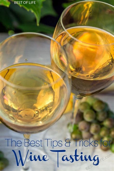 Wine Tasting Tips you Need to Know - The Best of Life