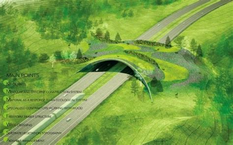 Five Archtitects Design Wildlife Crossings for Colorado Highway