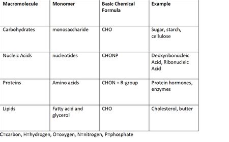 Comparing the Composition of Monomers for the Four Biological ...