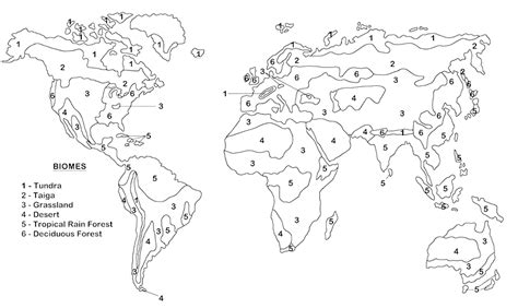 Biome Map