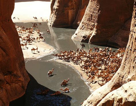 Ennedi Plateau Essential Tips and Information