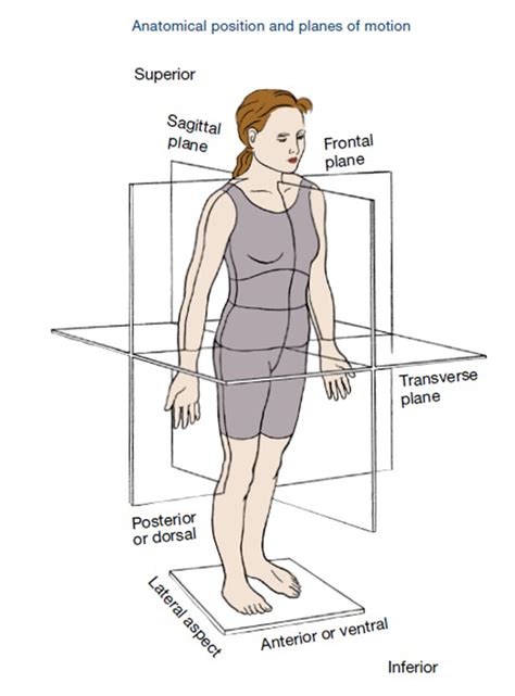 Explaining the Planes of Motion