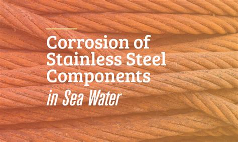 Corrosion of Stainless Steel Components in Seawater | The Federal Group USA