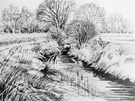 Trees in the Landscape 2. 2015. Pen & Ink. Glyn Overton. | Landscape ...