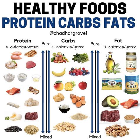 Healthy Foods Protein Carbs Fats | Healthy protein meals, Carbs ...