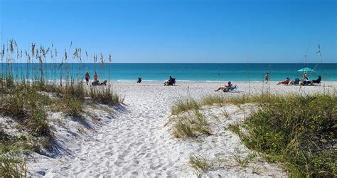 Are Dogs Allowed On Anna Maria Island Beaches