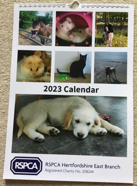 Get your 2023 calendar whilst stocks last! - RSPCA Hertfordshire East ...