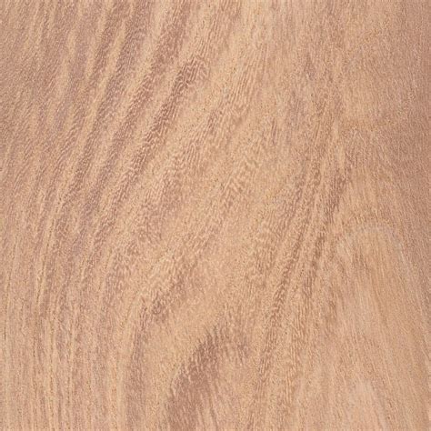 English Elm | The Wood Database (Hardwood)