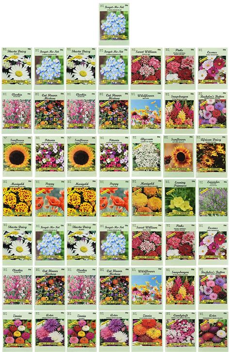 Buy Set of 50 Flower Seed Packets! Flower in Bulk, 15 or More Varieties ...