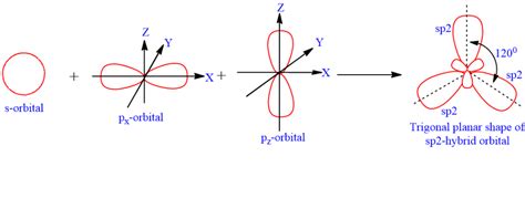 Hybridization: Definition, types and examples - Chemistry Notes