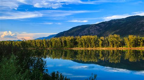 Beautiful Mountain Greenery Scenery View With Reflection Of Green Trees ...