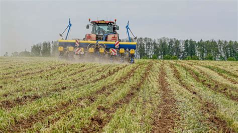 Sowing corn after strip-till - Farmet