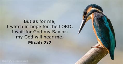 Micah 7:7 - Bible verse - DailyVerses.net