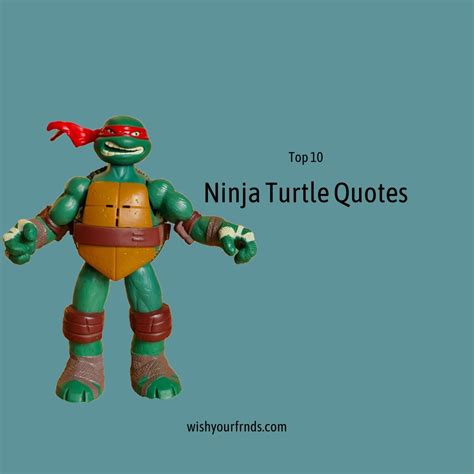 Ninja Turtle Quotes