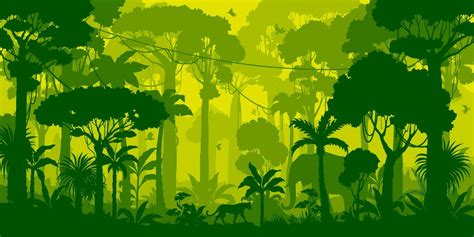 Jungle forest silhouette, rainforest background 24082057 Vector Art at ...