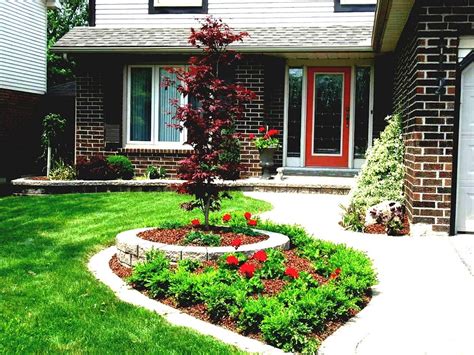 Landscaping Trees For Front Of House