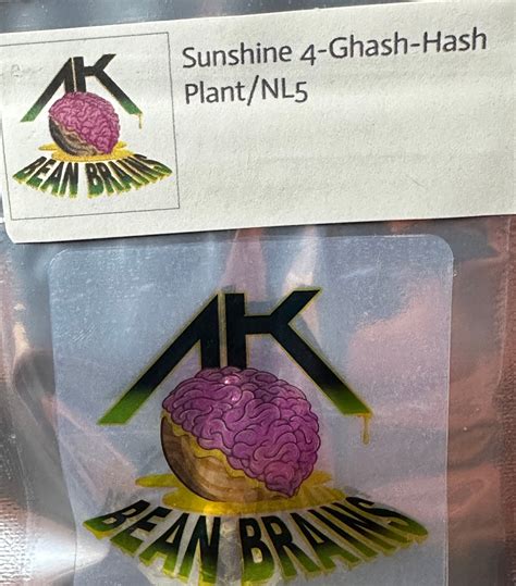 AK Bean Brains - Sunshine 4-Ghash-Hash Plant/NL5