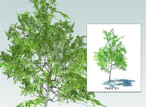 Free 3D Models - VEGETATION - SKETCHUP 3D TREES collection 1 - by ...