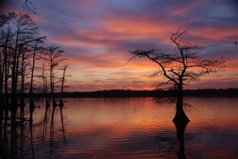 Reelfoot Lake State Park, a Tennessee State Park located near Union City