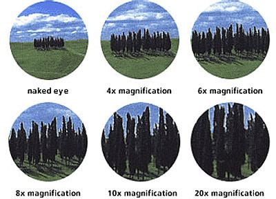 Scope Magnification Explained