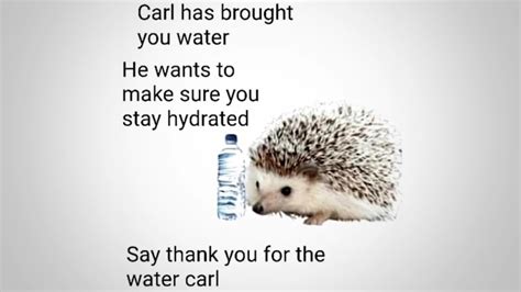 Stay hydrated : meme