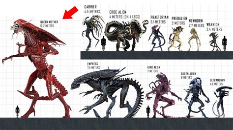 Alien Xenomorph Types