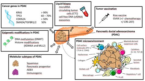 IJMS | Free Full-Text | Current Clinical Strategies of Pancreatic ...