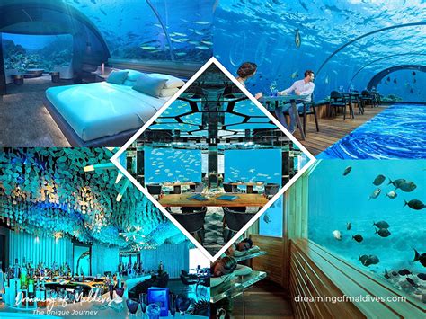 8 Amazing Underwater Structures in Maldives Underwater Wedding ...