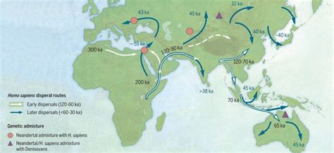 Le migrazioni multiple di Homo sapiens dall'Africa - Le Scienze