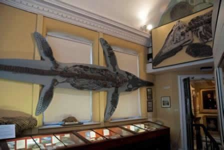 Lyme Regis Museum - Museums in Lyme Regis