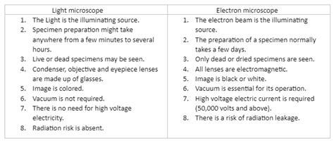 How Are Light Microscopes And Electron Alike | Shelly Lighting