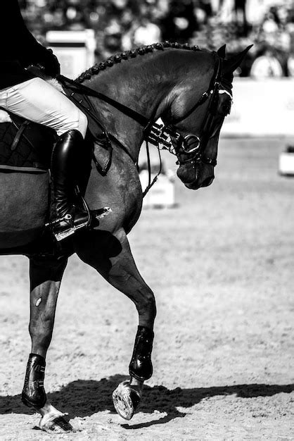 Premium Photo | Equestrian horse jumping competition show jumping ...