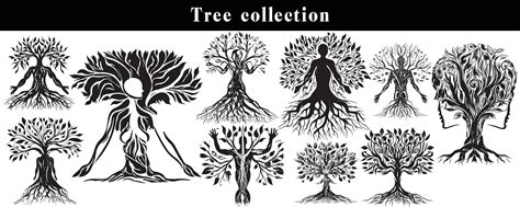 set of silhouettes of trees. black and white tree vector set. tree ...