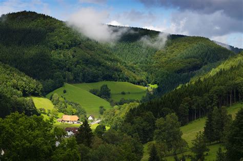 Scoprire la Foresta Nera tra boschi, laghi e cittadine incantate