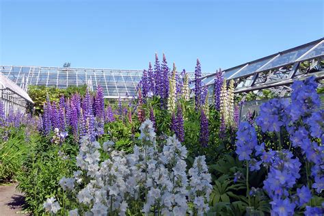 St Andrews Botanic Garden - Historic and Botanic Garden Training Programme