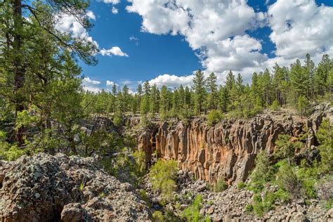 Kaibab National Forest