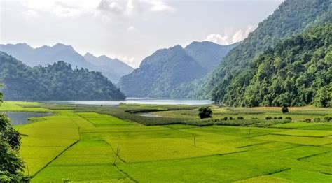 20 Vietnam Forests, Mountains & Nature Attractions For Thrilling Getaways