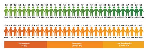 Female Bone Density Chart | Labb by AG