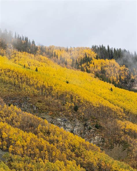 Fall Colors in Aspen, Colorado [OC] [1638x2048] : r/EarthPorn