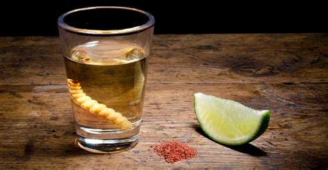 The Real Story Behind The Tequila Worm | VinePair