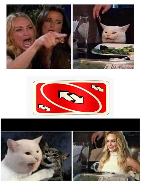 Woman Screaming At Cat Meme Template